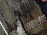 DSC 0016