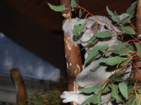 DSC 0040