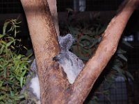 DSC 0053