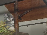 DSC 0056