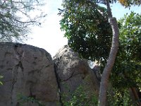 DSC 0012