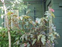 DSC 0016