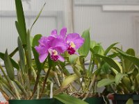 DSC 0025