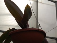 DSC 0038
