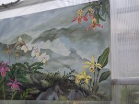 DSC 0049