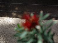 DSC 0089