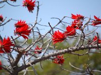 DSC 0048