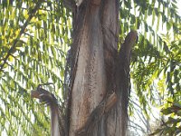 DSC 0090