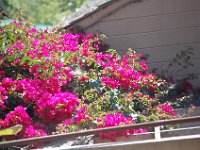 DSC 0093