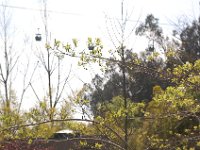 DSC 0096