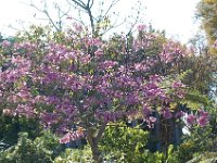 DSC 0224