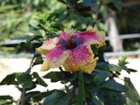DSC 0227
