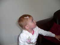 harp hairclip