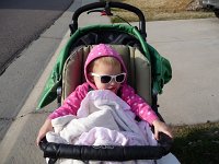 harp sunglasses