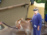 zoo 013