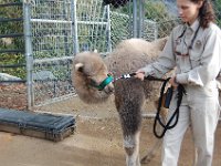 zoo 027