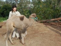 zoo 037