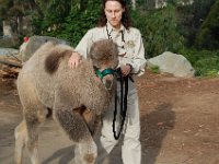 zoo 038