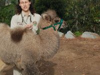 zoo 039