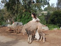 zoo 040