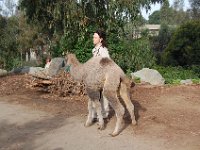 zoo 041
