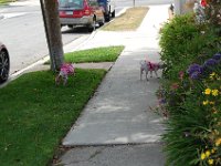 DSC 0180
