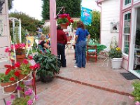 DSC 0206