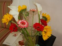 DSC 0234
