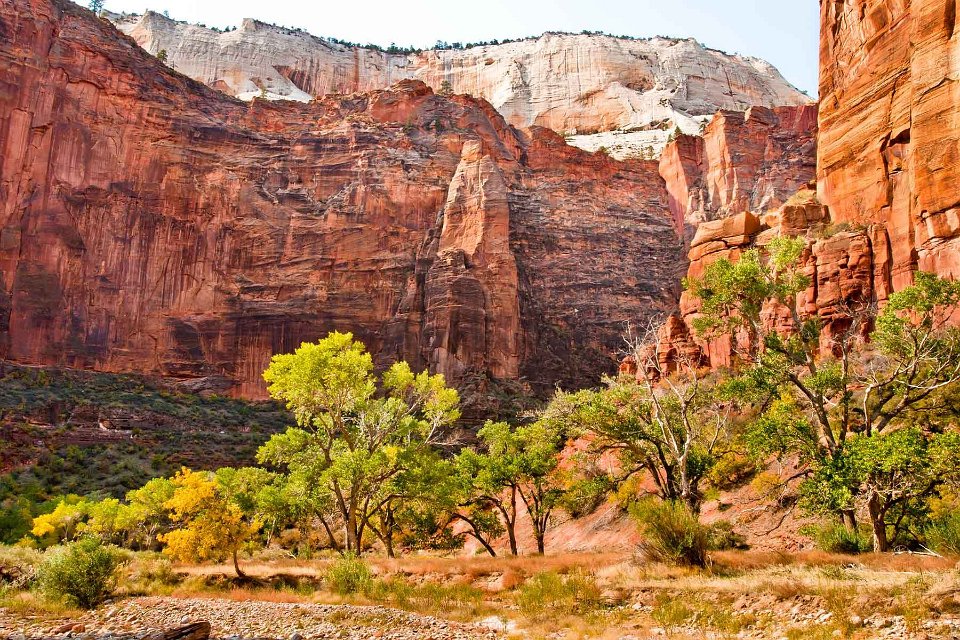 0029 zion-national-park