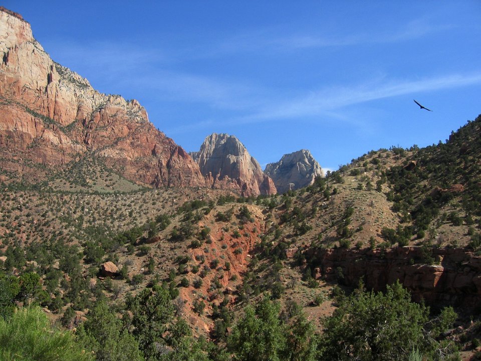 0037 zion-national-park