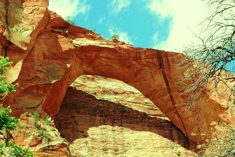 Zion National Park