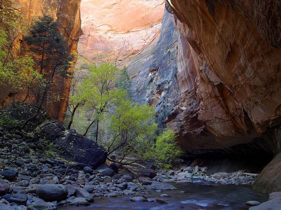 005 zion-national-park