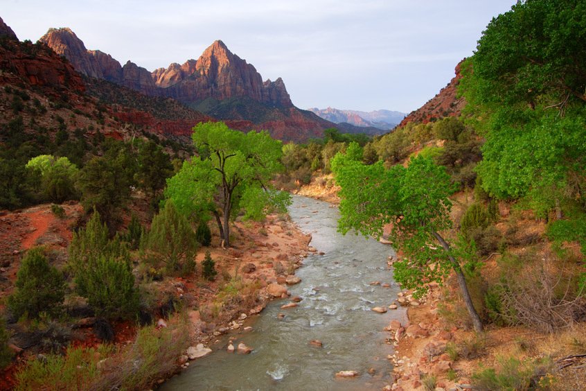 006 zion-national-park