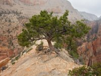 0022_zion-national-park.jpg