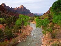 006_zion-national-park.jpg