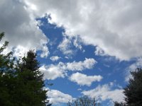 05-22-11 Harpers 4th 125