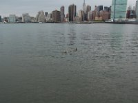NY 067