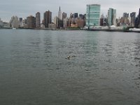 NY 070