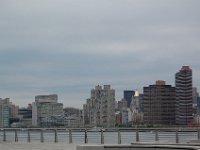 NY 113