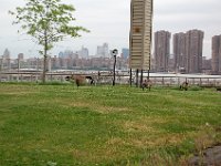 NY 149