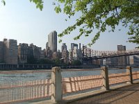 NY 517