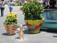 DSC 0551