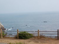 DSC 0007