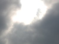 DSC 0091