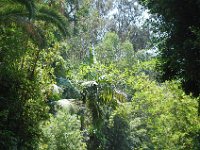 DSC 0002