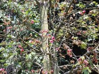 DSC 0011