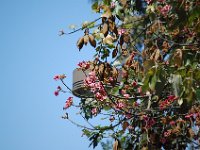 DSC 0012