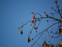 DSC 0014