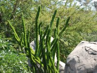 DSC 0025