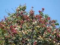 DSC 0035